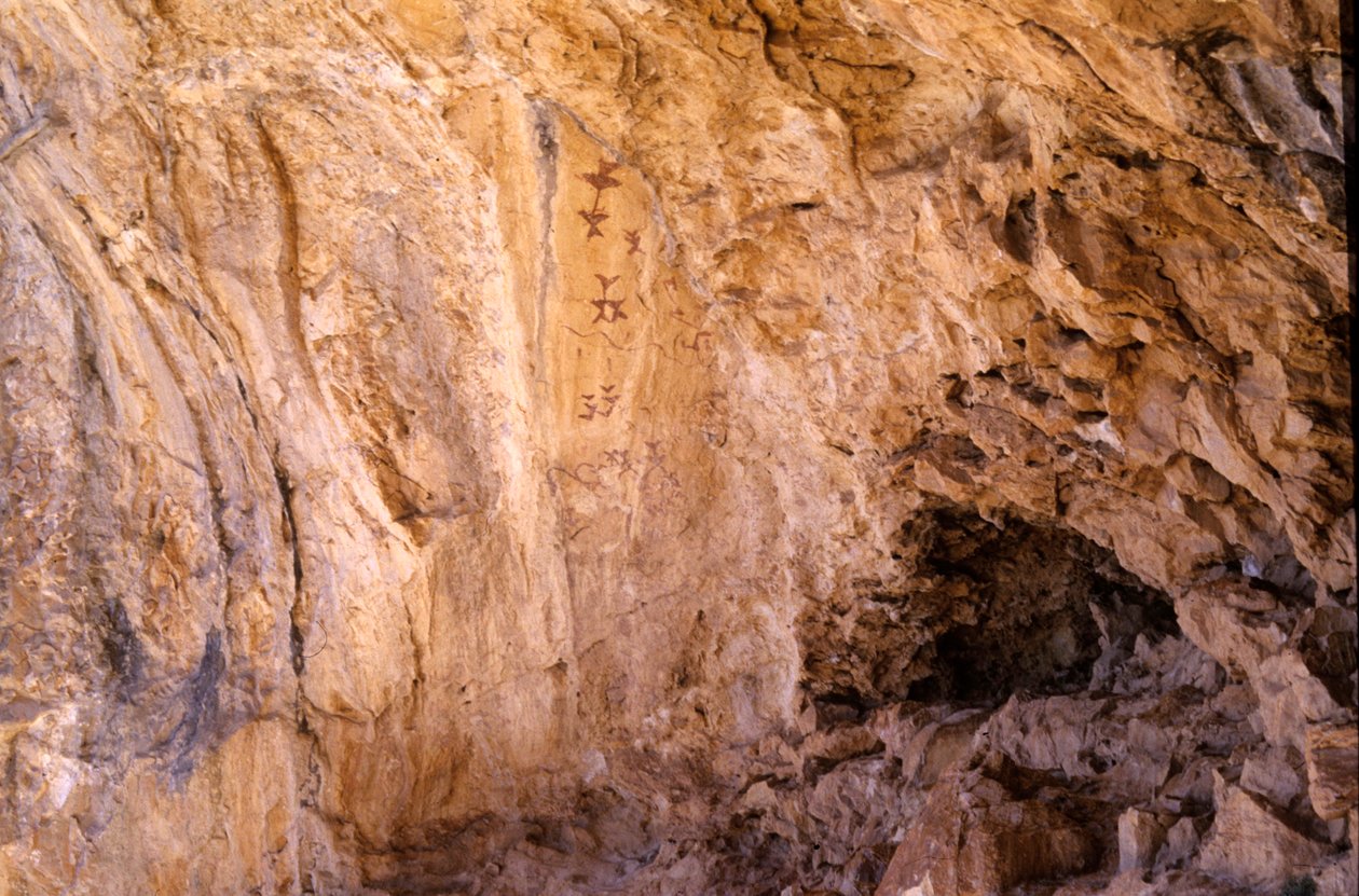 Los Letreros Höhle, Nähe Velez Blanco, Andalusien, 4000 v. Chr., Höhlenmalereien von Vögeln von Unknown