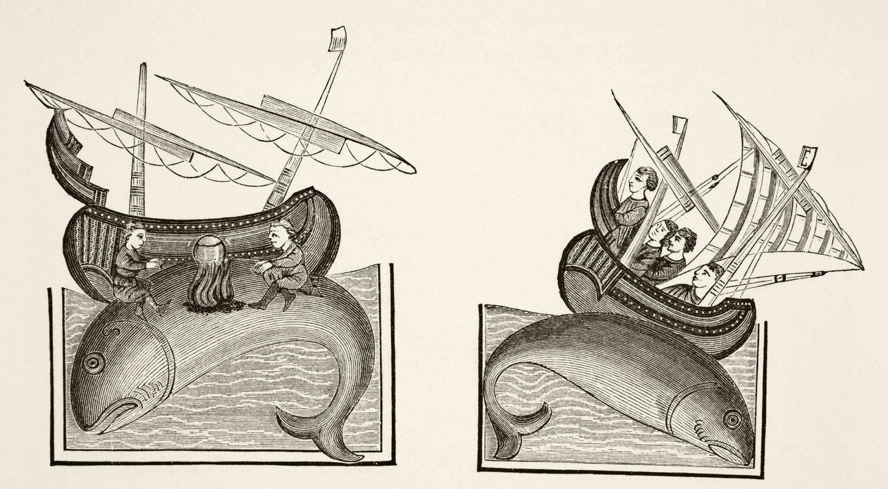 Navigatoren verwechseln den Rücken eines Wals mit einer Insel, nach einer Miniatur in Richard de Fournivals 