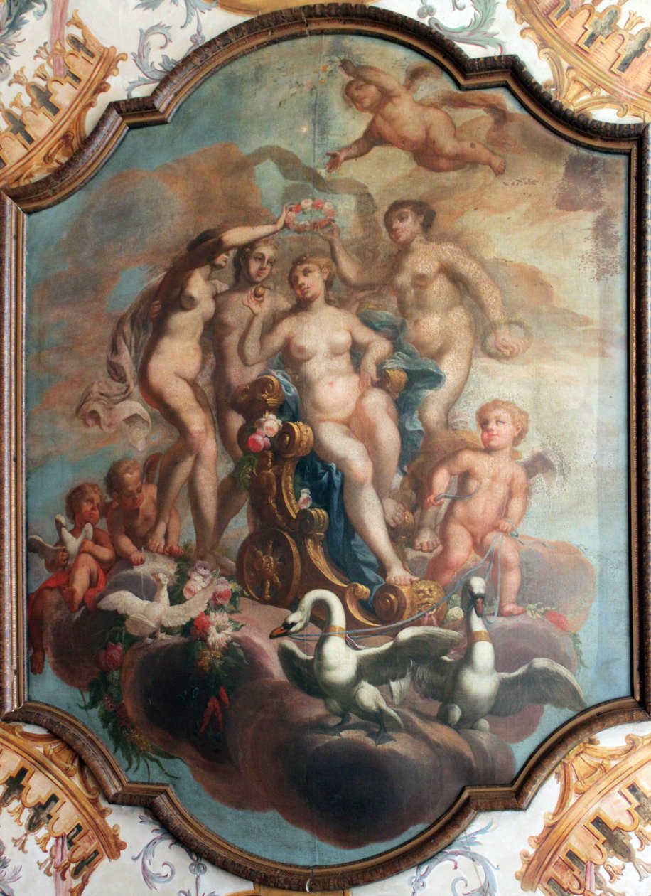 Deckenmalerei in der Toilettenkammer des Mecklenburgischen Apartments im Schloss Charlottenburg, Berlin von Unknown