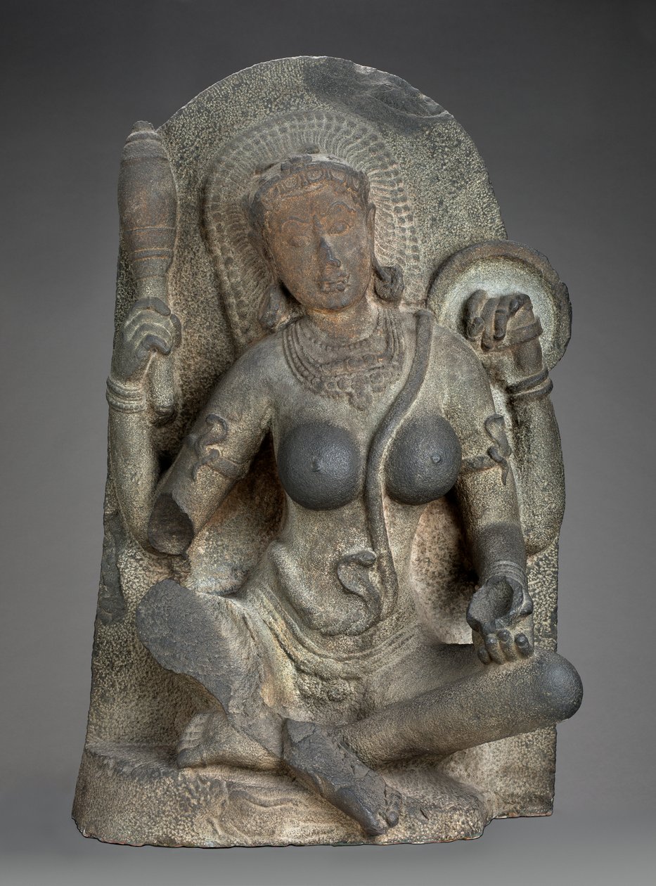 Yogini von Indian School