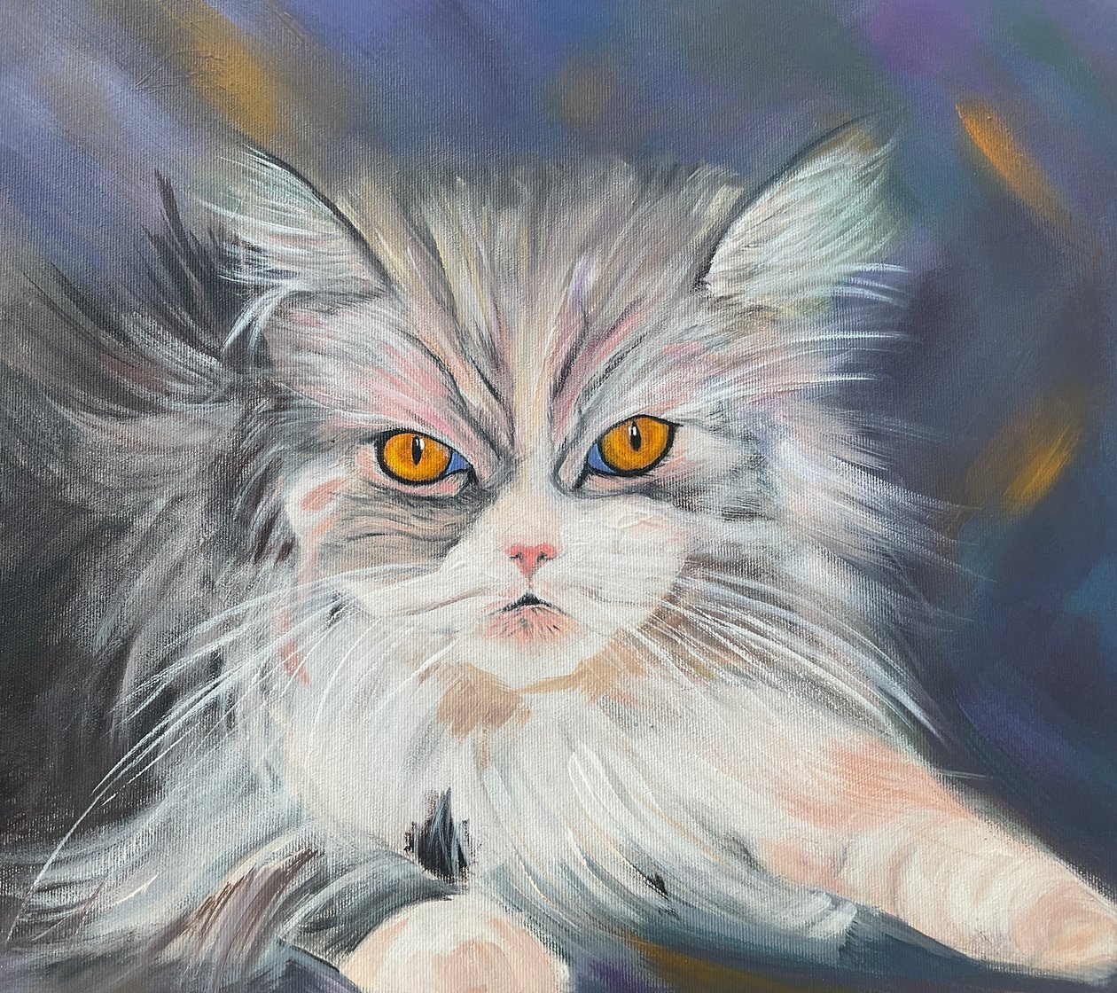 Maine-Coon Katze von H.Opitz