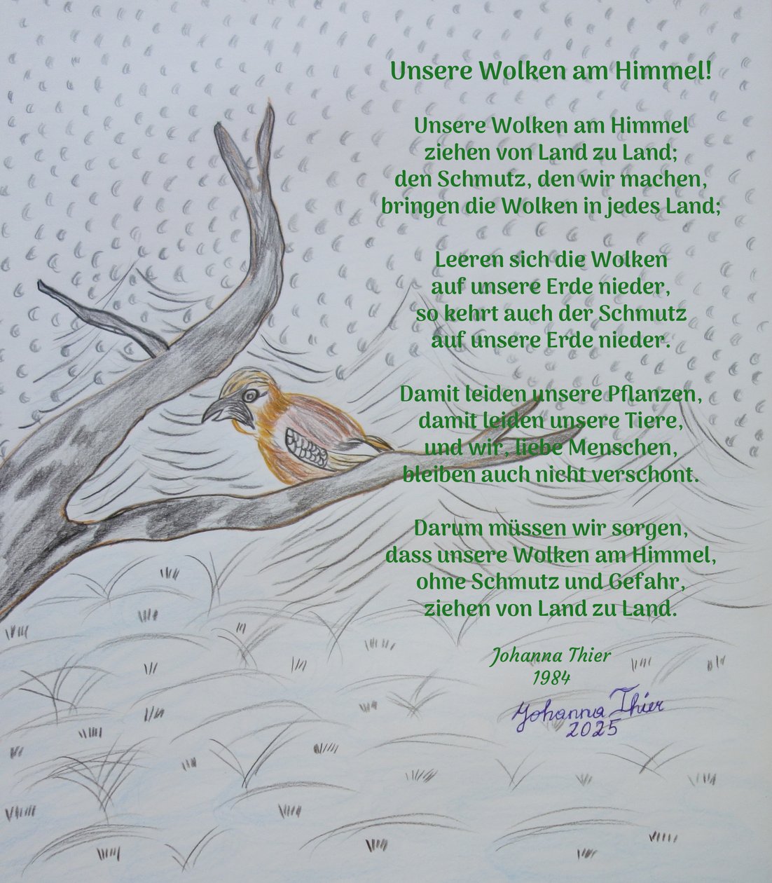 Unsere Wolken am Himmel von Johanna Thier