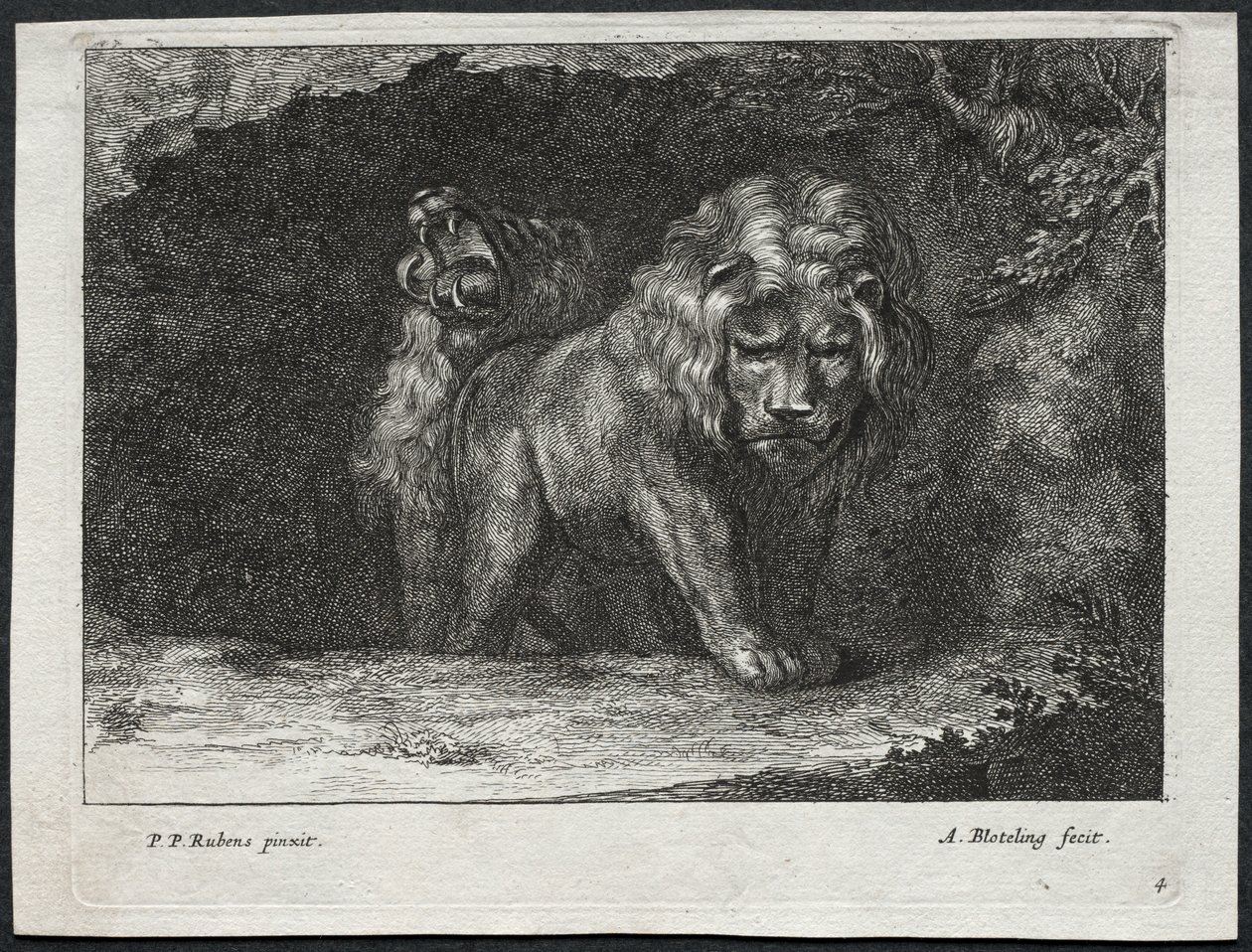 Verschiedene Löwen von Abraham Blooteling