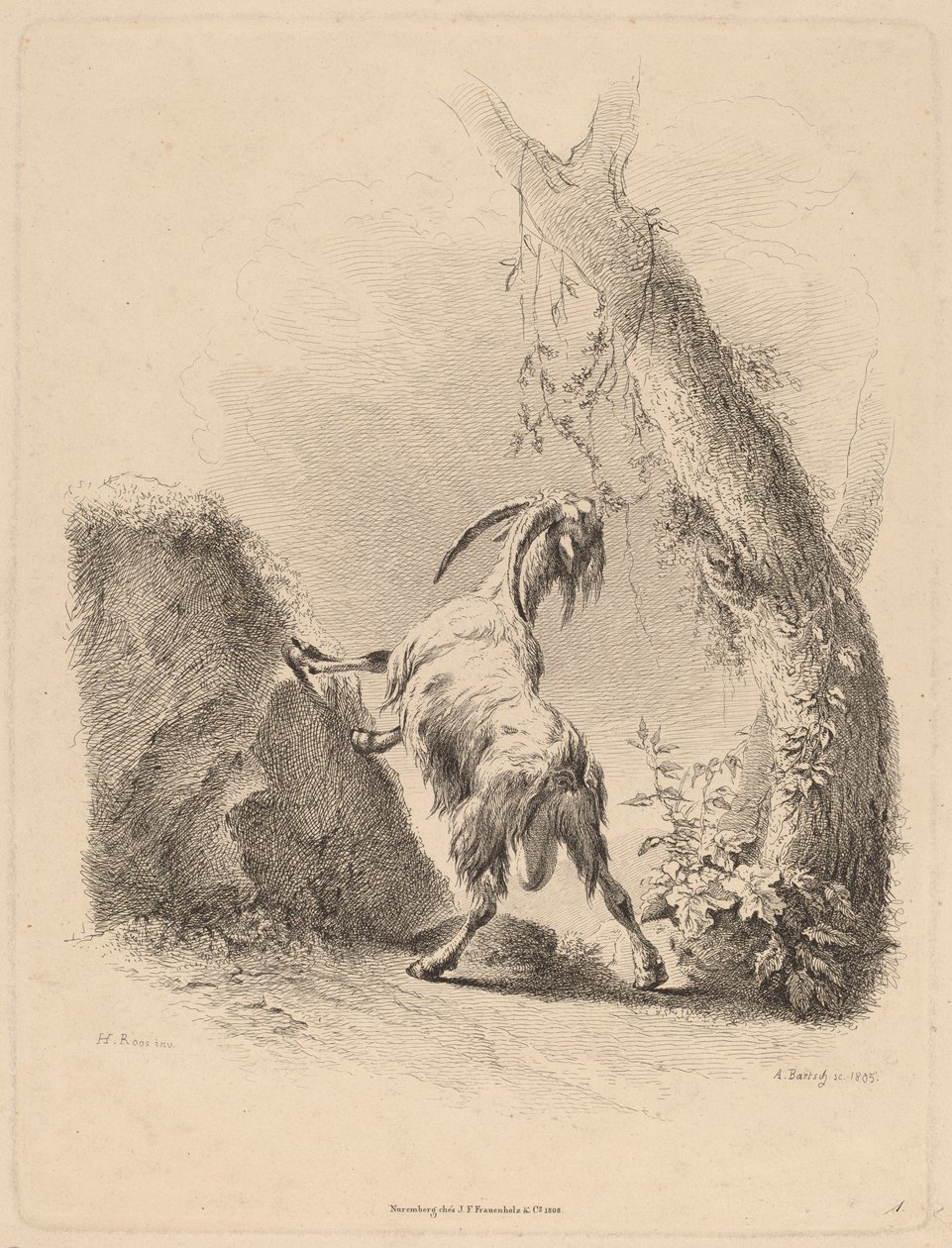 Ziege in einer Landschaft, 1805 von Adam von Bartsch