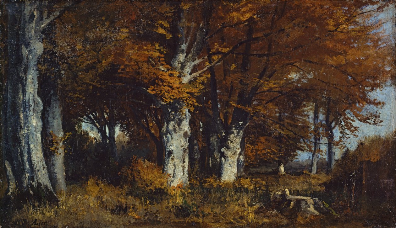 Buchenwald im Herbst von Adolf Heinrich Lier