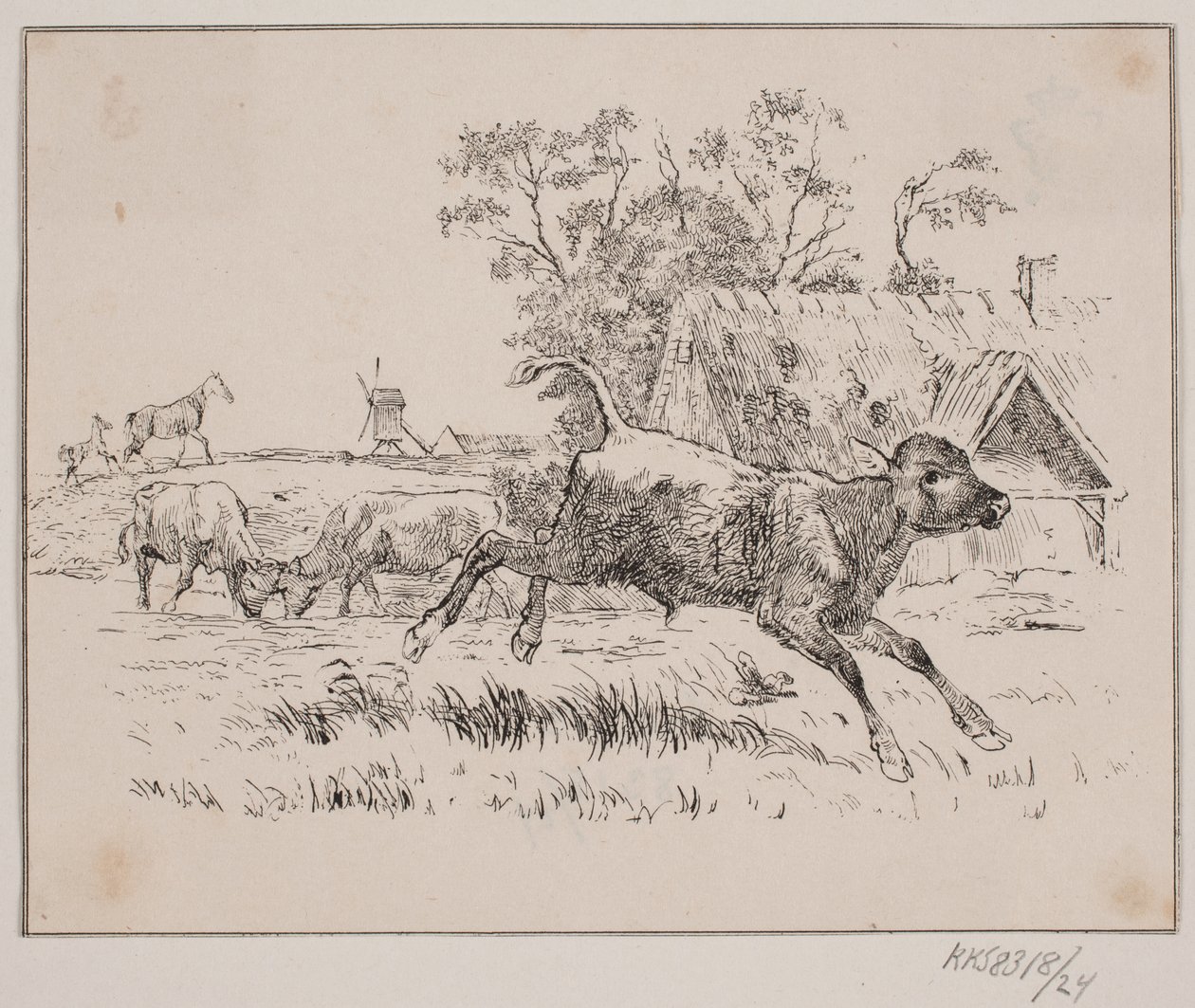 Der Hirsch von Johan Adolph Kittendorff