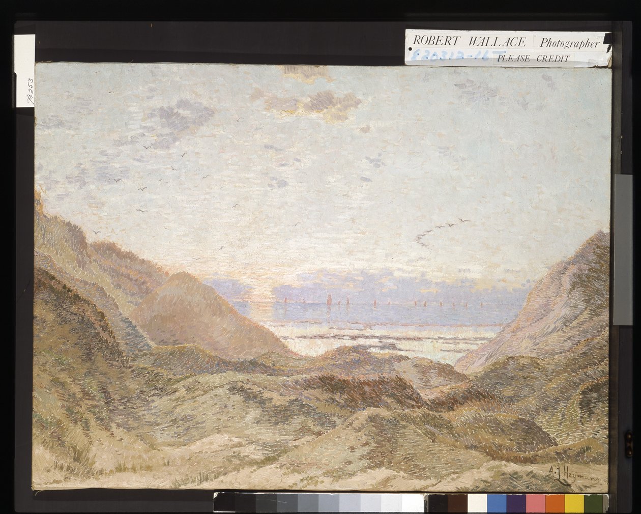 Die Dünen von Adriaan Josef Heymans