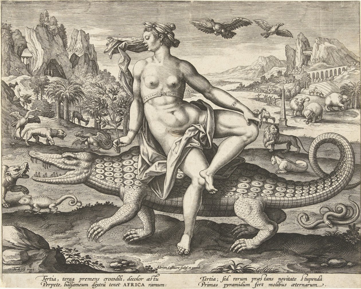 Afrika von Adriaen Collaert
