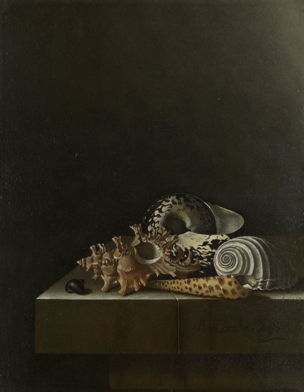 Muscheln auf einem steinernen Sockel von Adrian Coorte