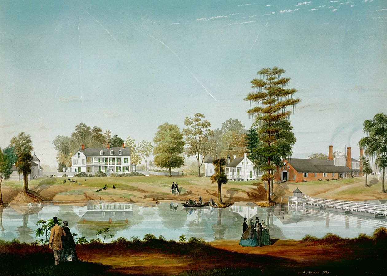 Die Olivier-Plantage, 1861 von Adrien Persac