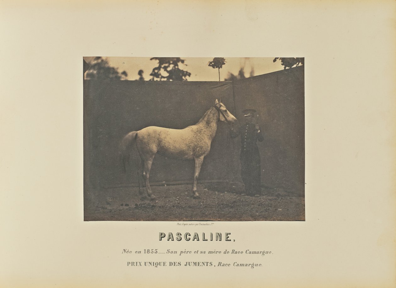 Pascaline von Adrien Alban Tournachon