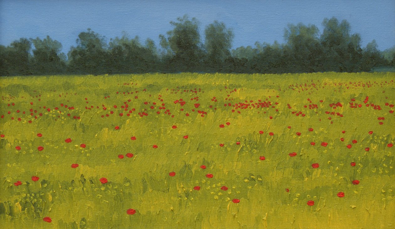 Gelbes Feld mit Mohnblumen, 2002 von Alan Byrne