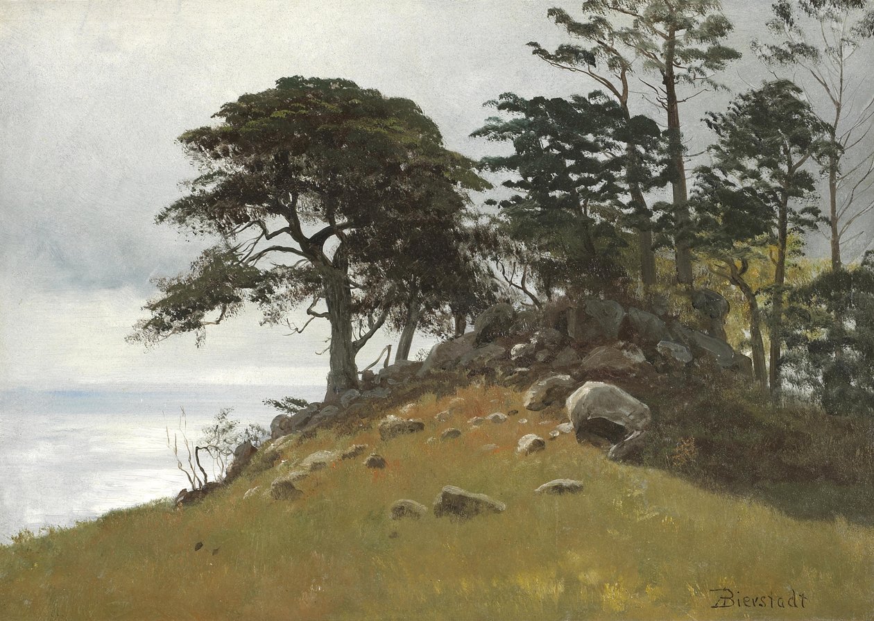 Cypress Point, Monterey von Albert Bierstadt