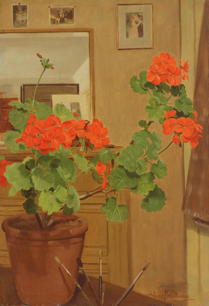 Geranien in einer Studioecke, 1948-49 von Albert Williams