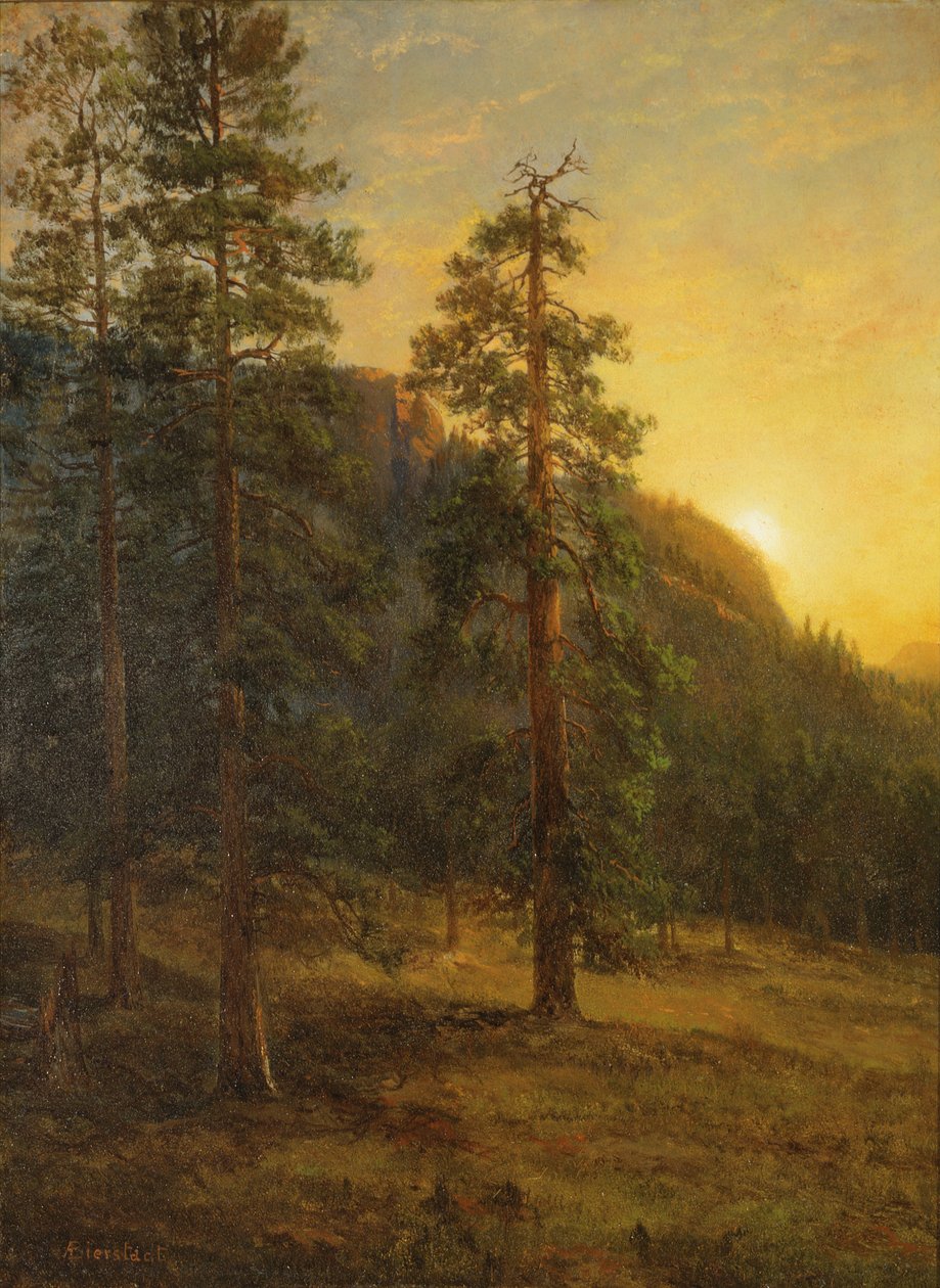 Kalifornische Mammutbäume von Albert Bierstadt