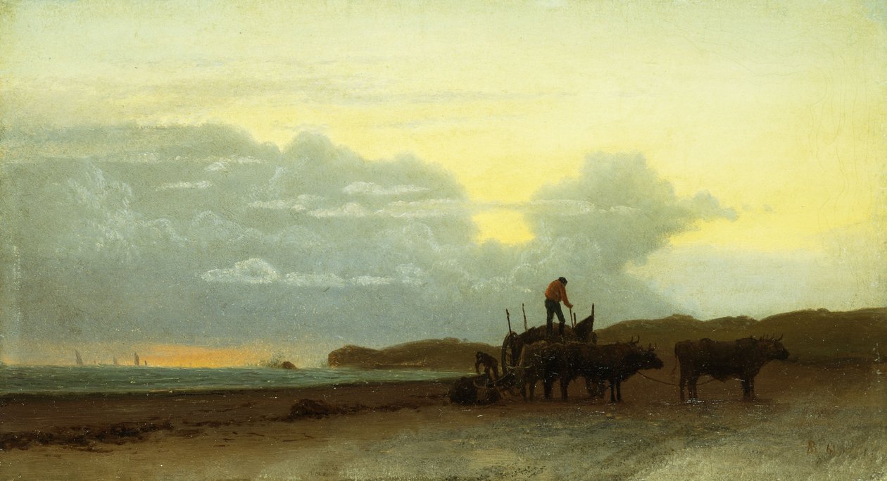 Küstenansicht, Newport, 1861 von Albert Bierstadt
