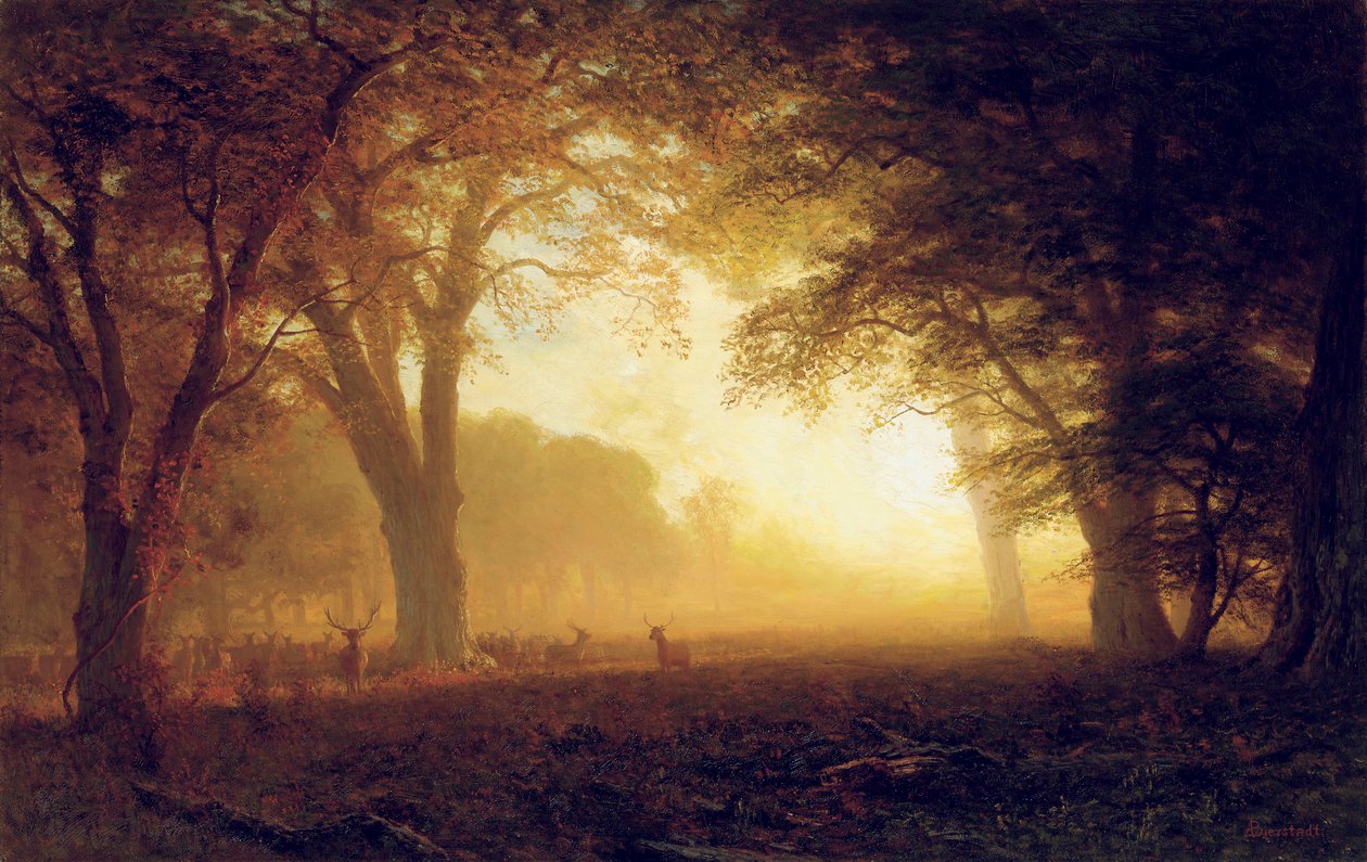 Goldenes Licht von Kalifornien von Albert Bierstadt