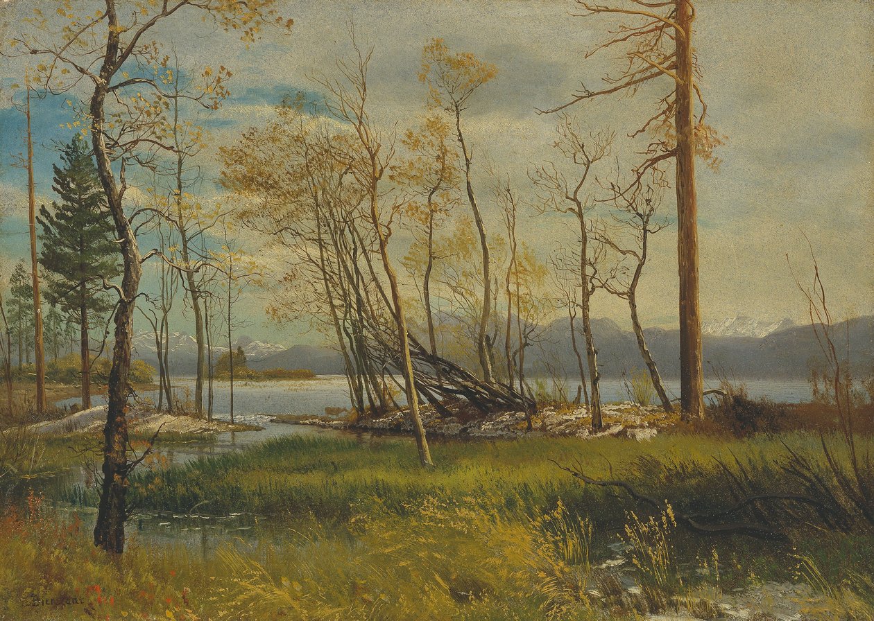 Lake Tahoe von Albert Bierstadt