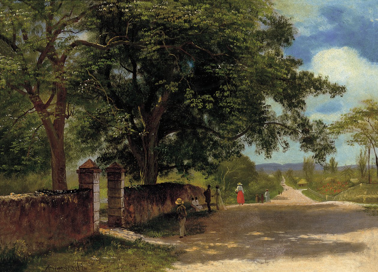 Straße in Nassau von Albert Bierstadt