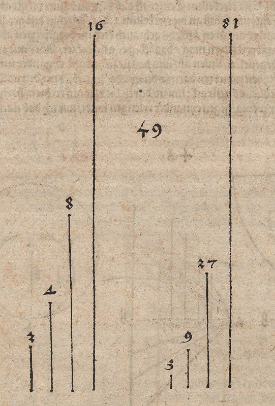 Graphischer Vergleich zweier Potenzfunktionen mit den Basen von Albrecht Dürer