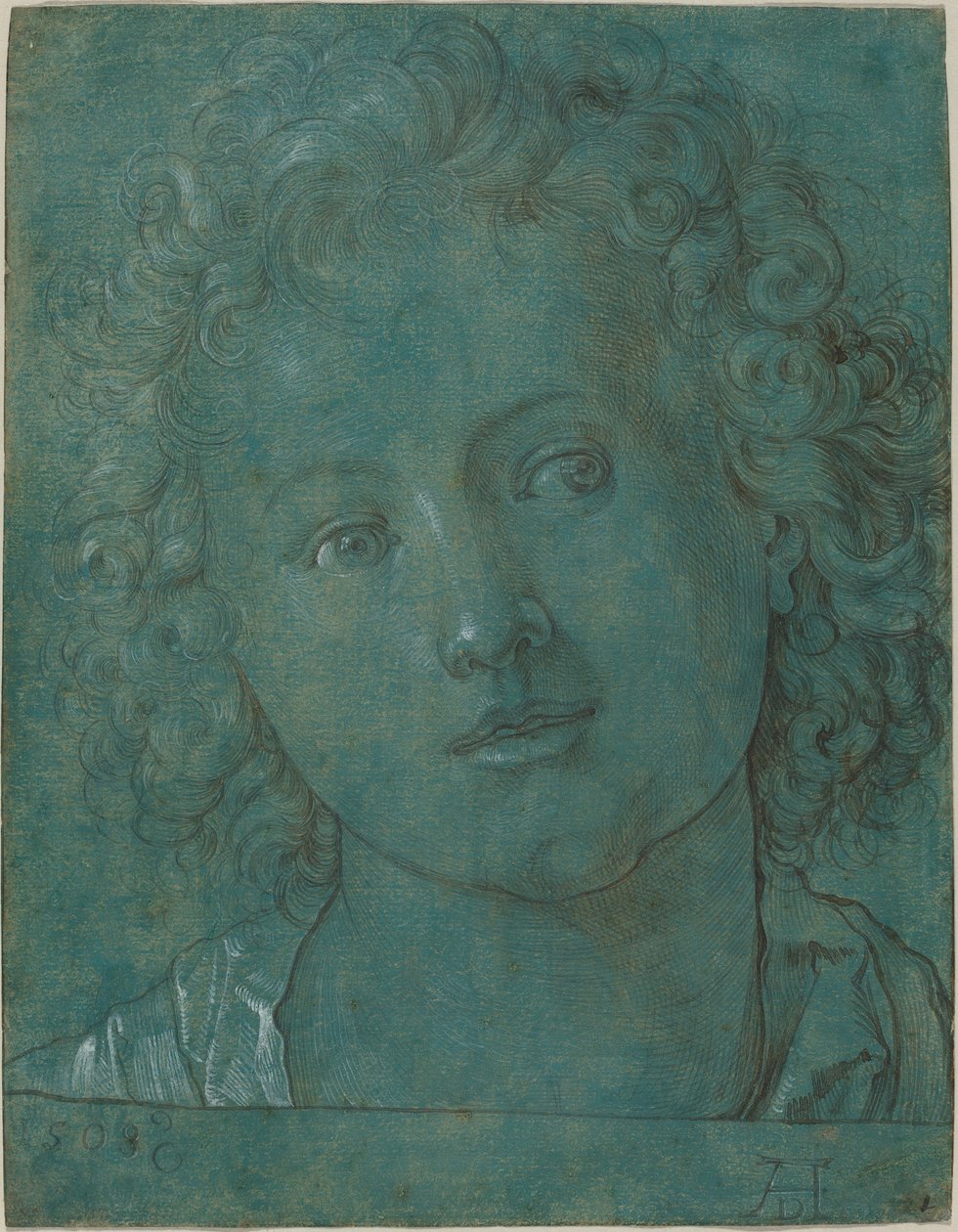 Kopf eines Jungen von Albrecht Dürer