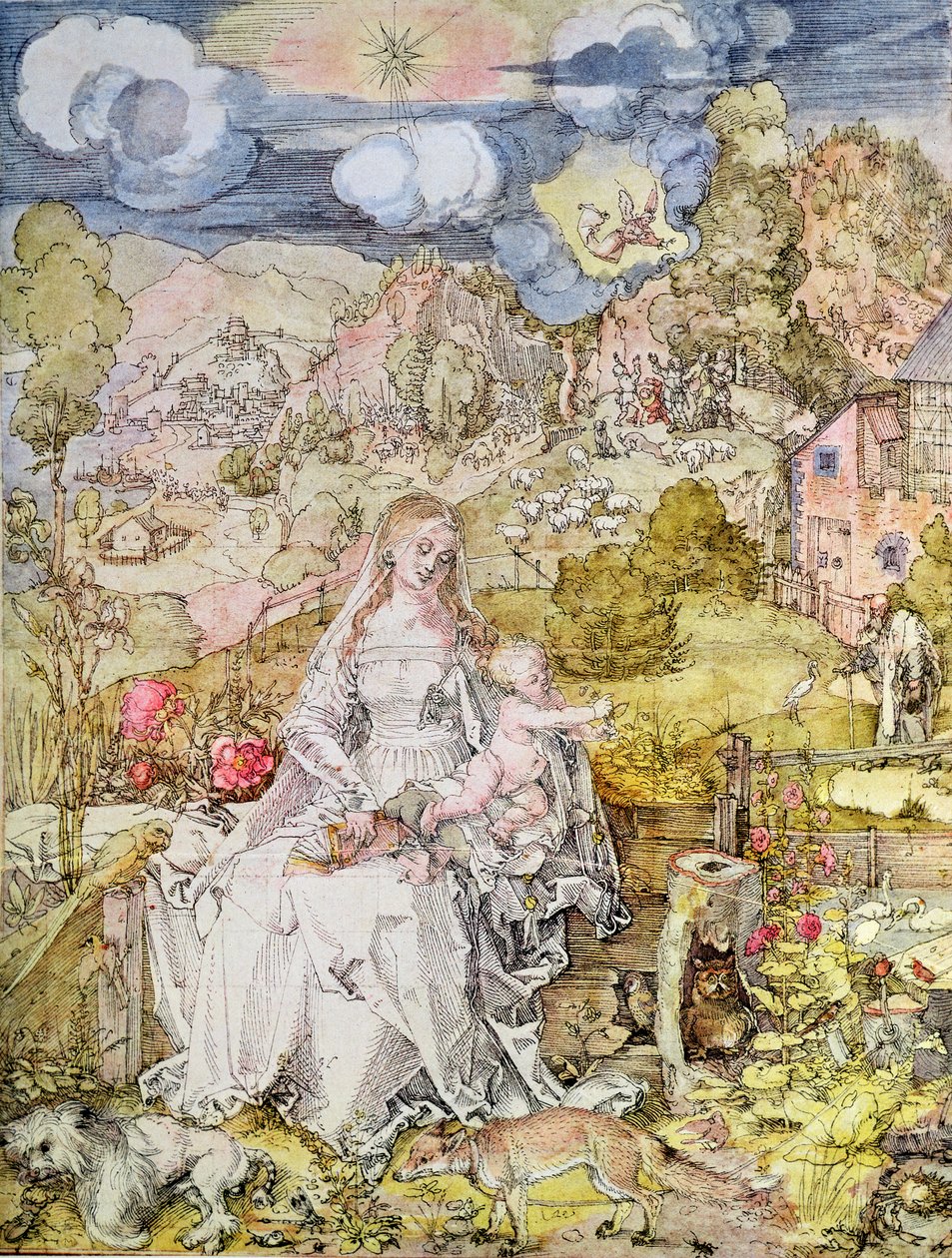 Madonna und Kind von Albrecht Dürer