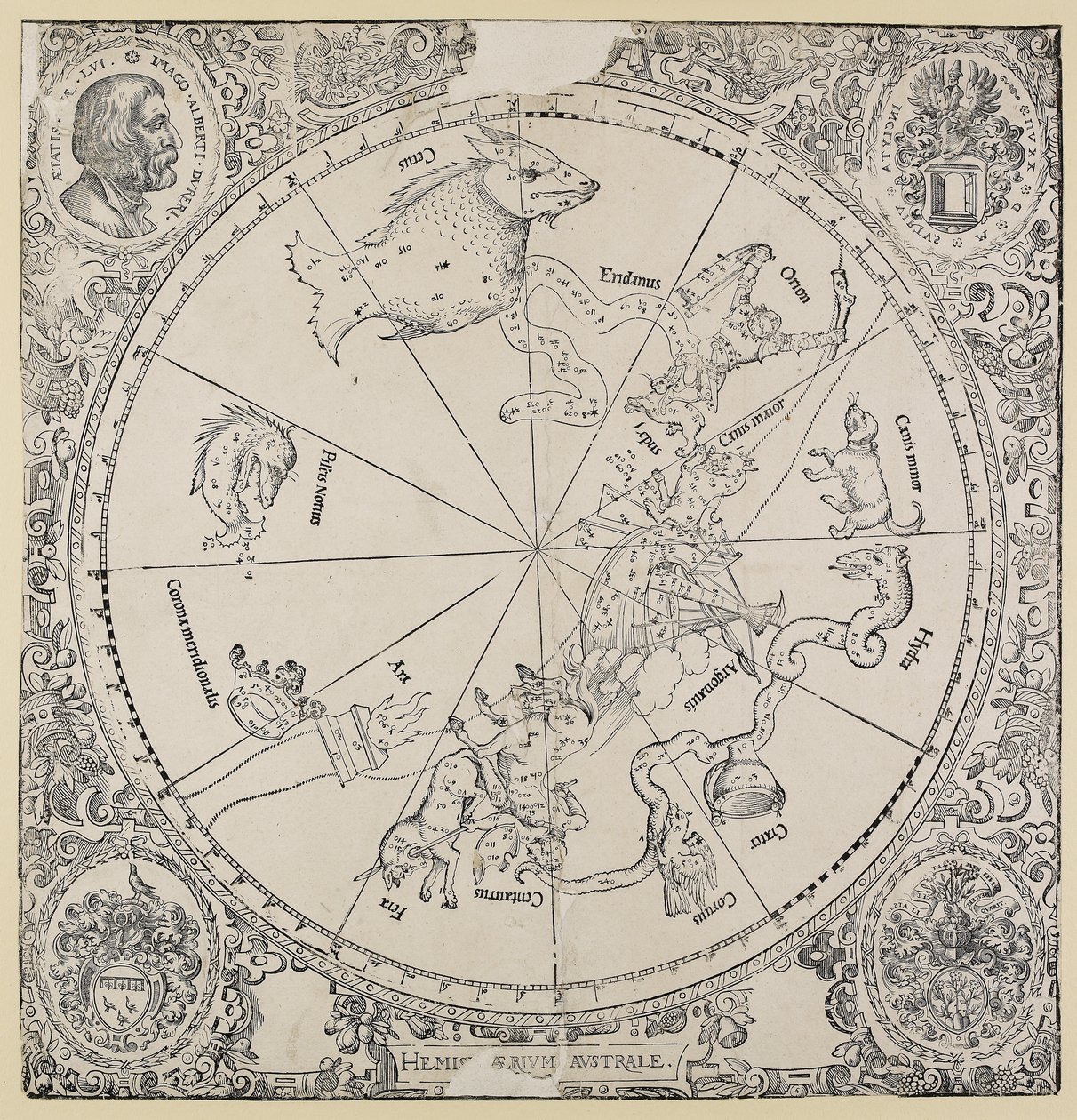 Die Himmelskarte der südlichen Hemisphäre von Albrecht Dürer