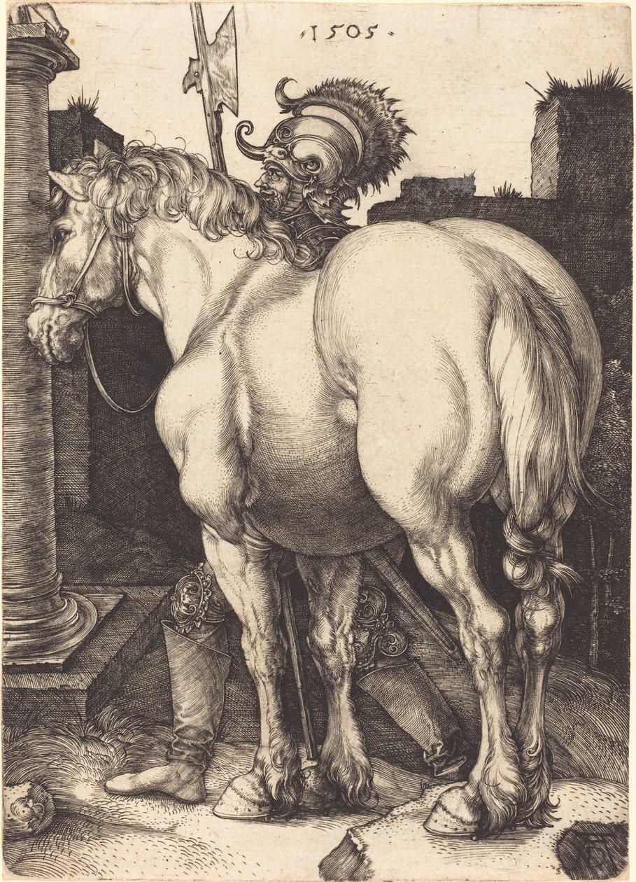 Großes Pferd von Albrecht Dürer