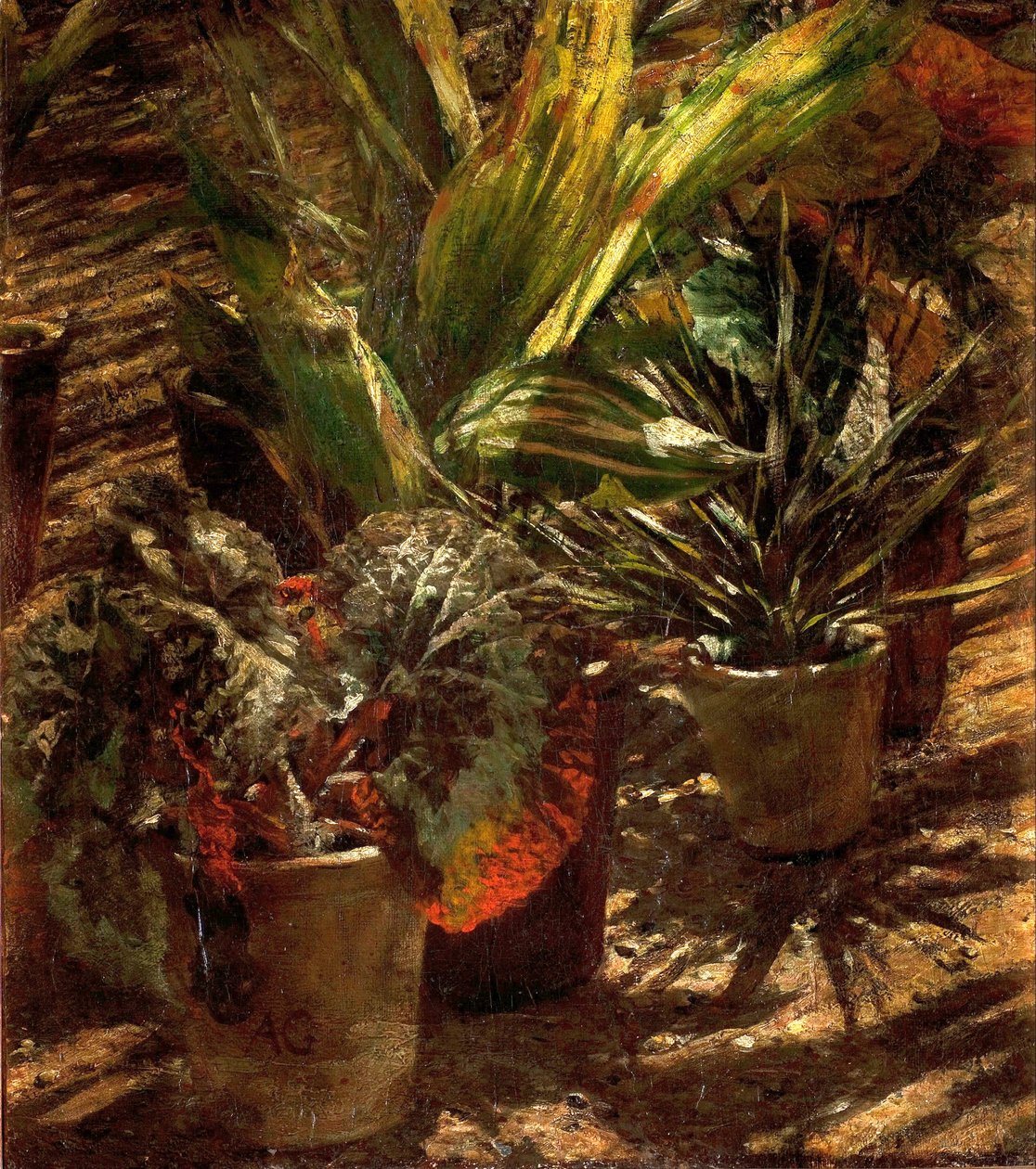 Begonien von Aleksander Gierymski