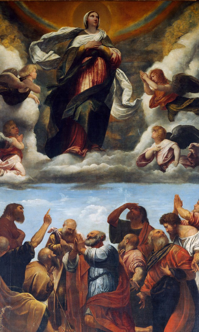 Himmelfahrt, Altarbild (Öl auf Holz) von Alessandro Bonvicino Moretto