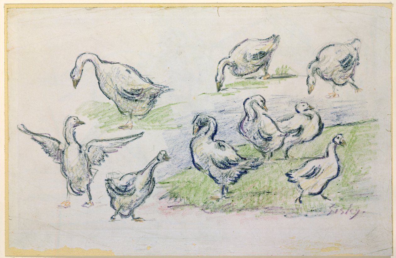 Enten von Alfred Sisley