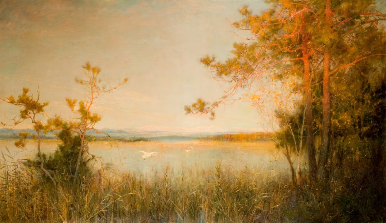 Schilfiger See und sonnenbeschienene Hügel, 1890-91 von Alfred Edward East