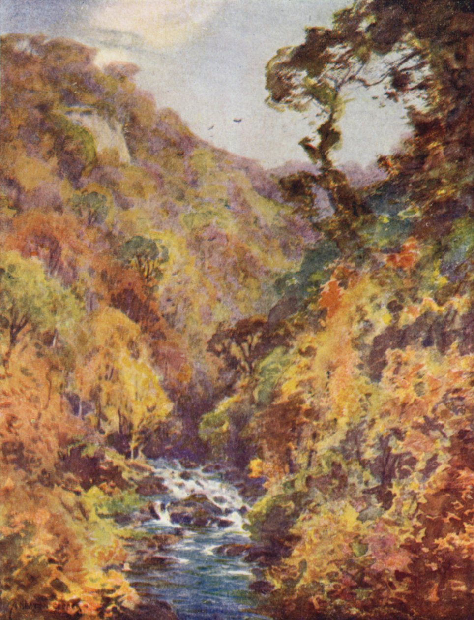 Der Dargle, County Wicklow von Alfred Heaton Cooper