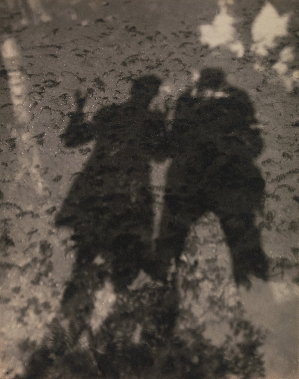 Schatten im See von Alfred Stieglitz