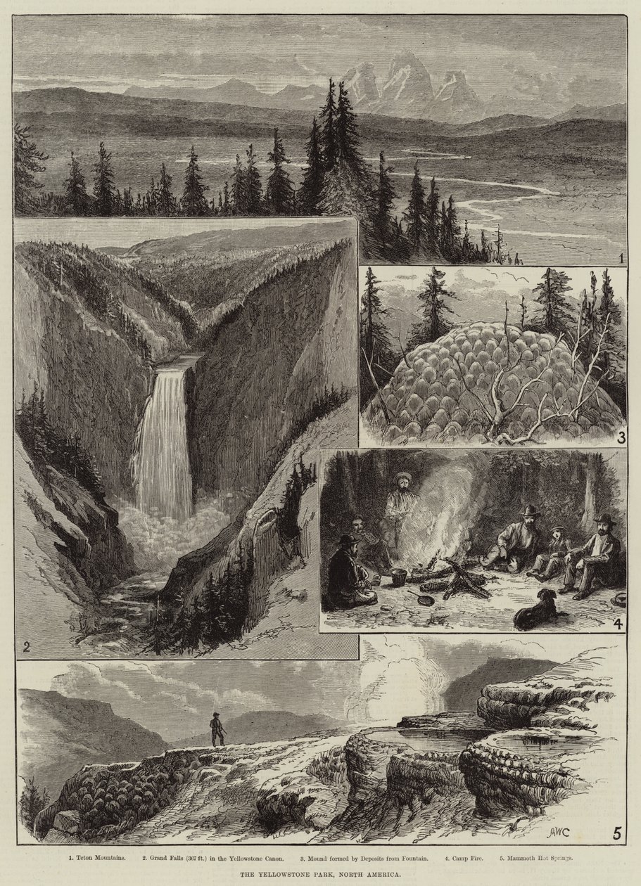 Der Yellowstone Park, Nordamerika von Alfred W. Cooper