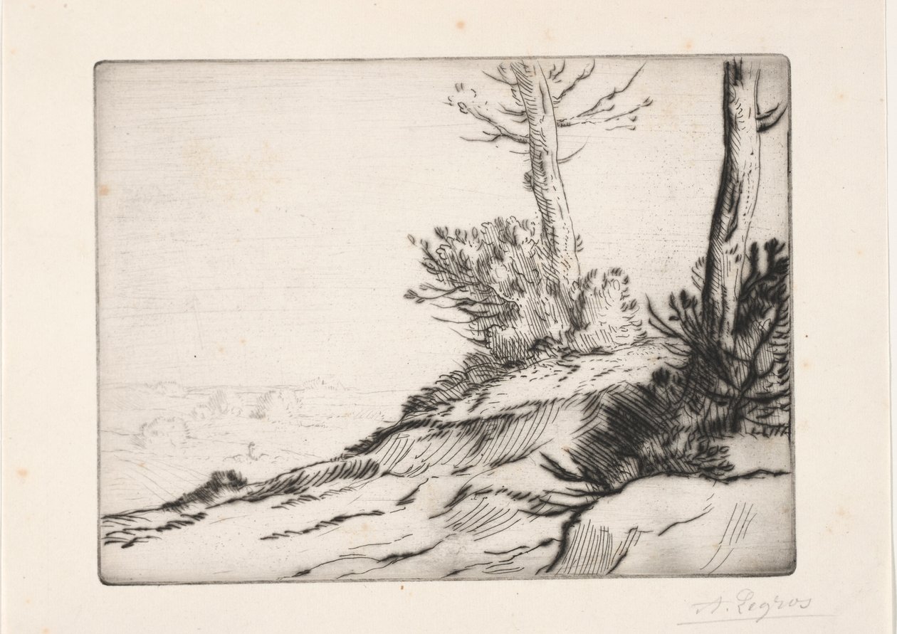 Der Hügel mit Gestrüpp von Alphonse Legros