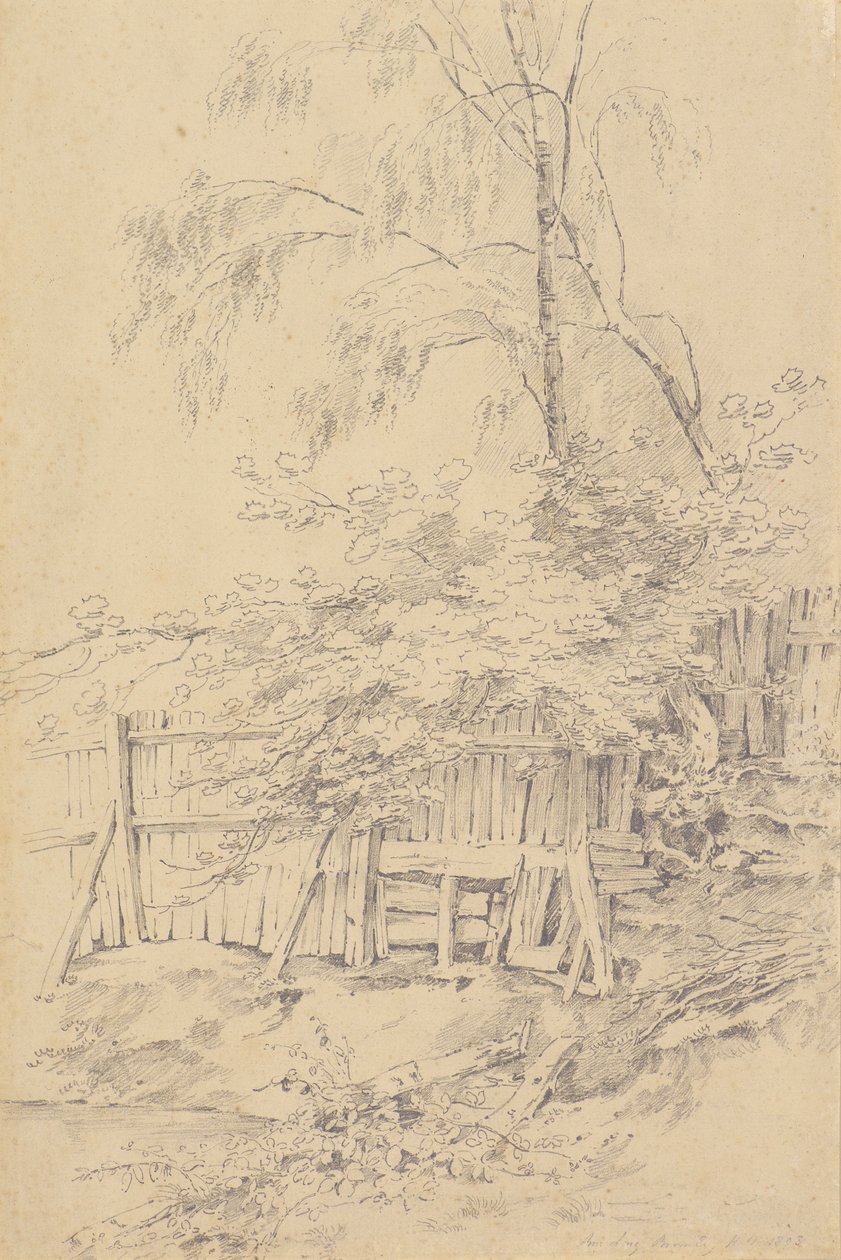 Bromley Hill von Amelia Long