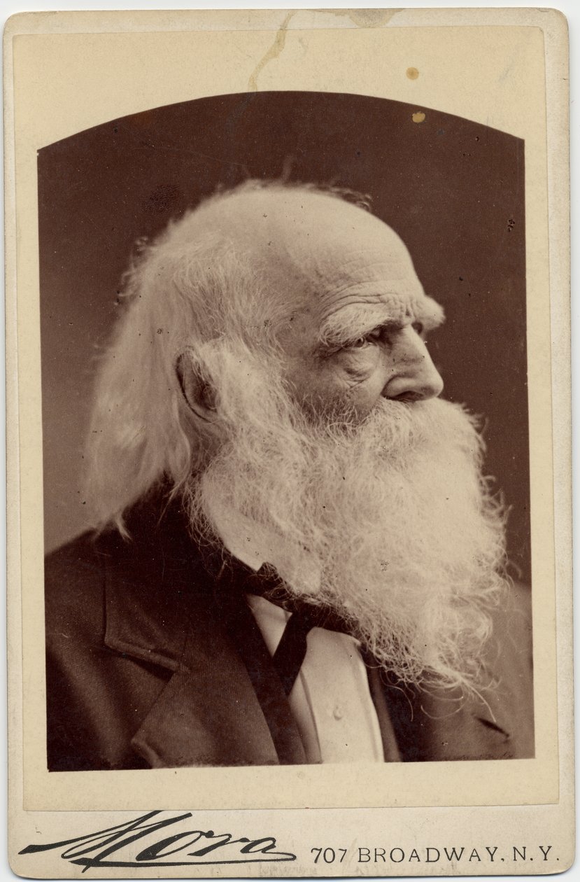 William Cullen Bryant (1794-1878), amerikanischer Dichter, Foto von Albert J Mora, New York von American Photographer