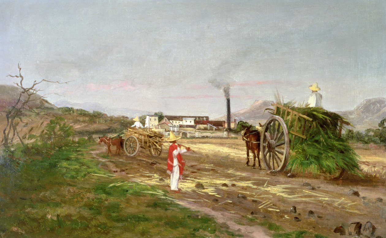 Bauern sammeln Zuckerrohr, Zentralamerika, ca. 1840 von American School