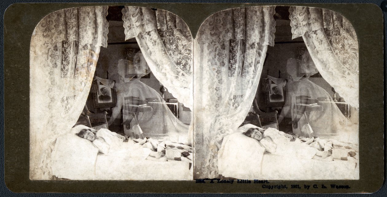 Ein einsames kleines Herz, 1901 (Stereograph) von American School