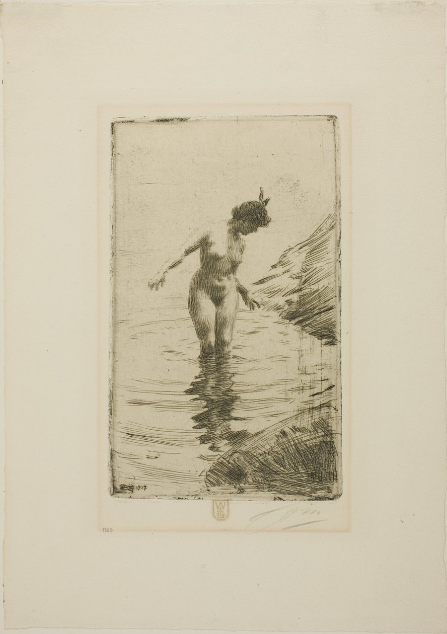 Wasserkreise II von Anders Zorn