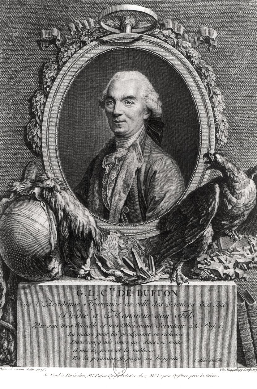Georges-Louis Leclerc (1707-88) Comte de Buffon, graviert von Vincenzio Vangelisti (1738-98) 1777 von Andre Pujos