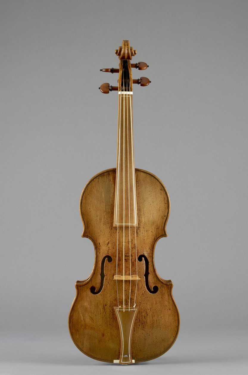 Geige (Charles IX) von Andrea Amati