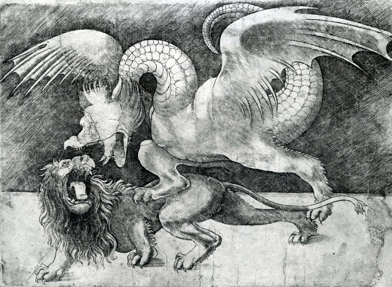 Drache kämpft gegen einen Löwen von Andrea Zoan
