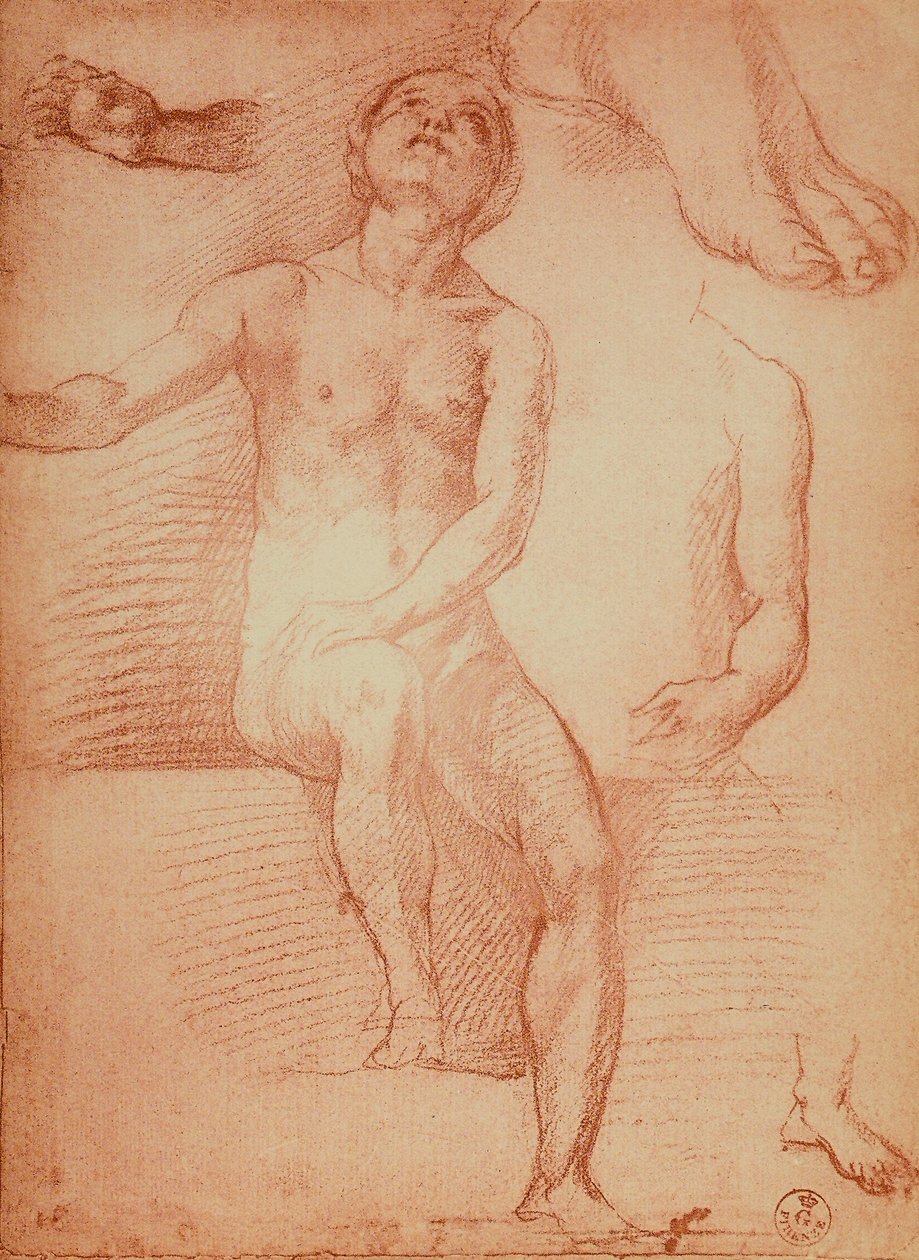 Studie einer Aktfigur und menschlicher Gliedmaßen, Zeichnung von Andrea del Sarto. Gabinetto dei Disegni e delle Stampe, Uffizien, Florenz von Andrea del Sarto