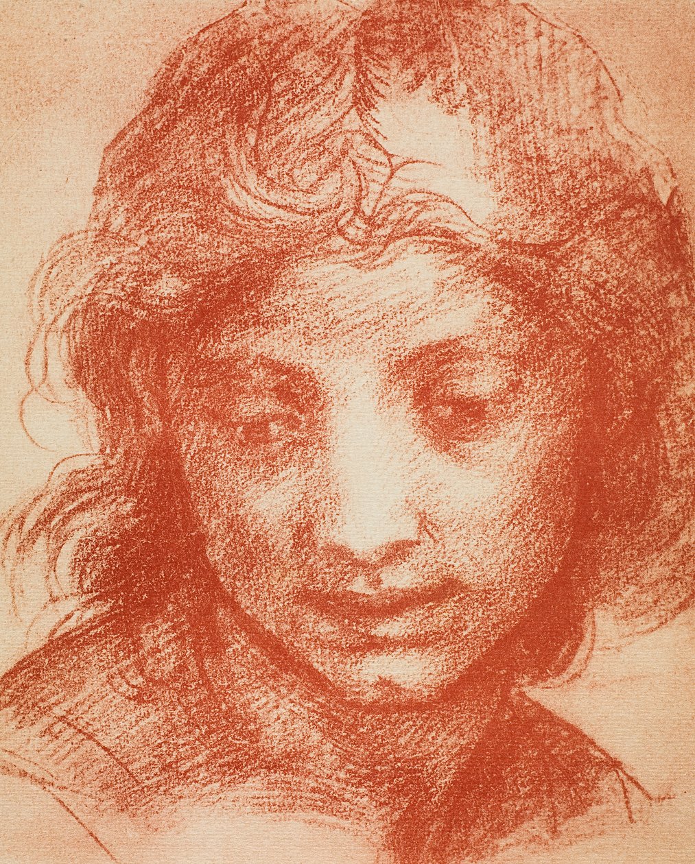 Jungenkopf von Andrea del Sarto