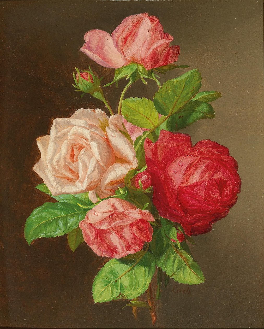 Rosen von Andreas Lach