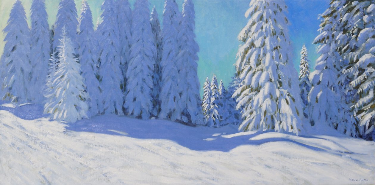 Frischer Schnee, Morzine, Frankreich, 2015 von Andrew Macara