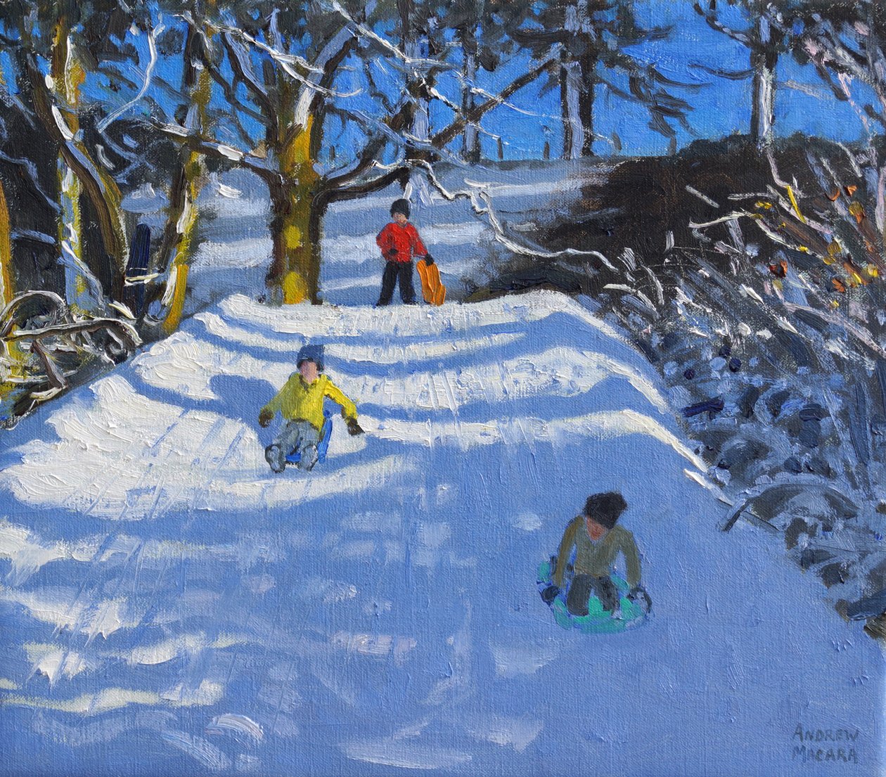 Spaß im Schnee, Wash Green, Derbyshire, 2014 von Andrew Macara