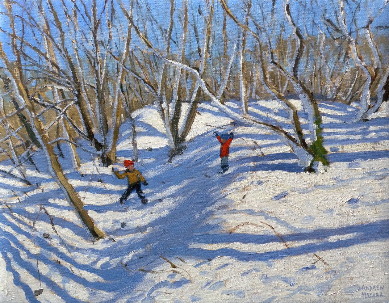 Frühlingsschnee, Newhaven Derbyshire, 2008 von Andrew Macara